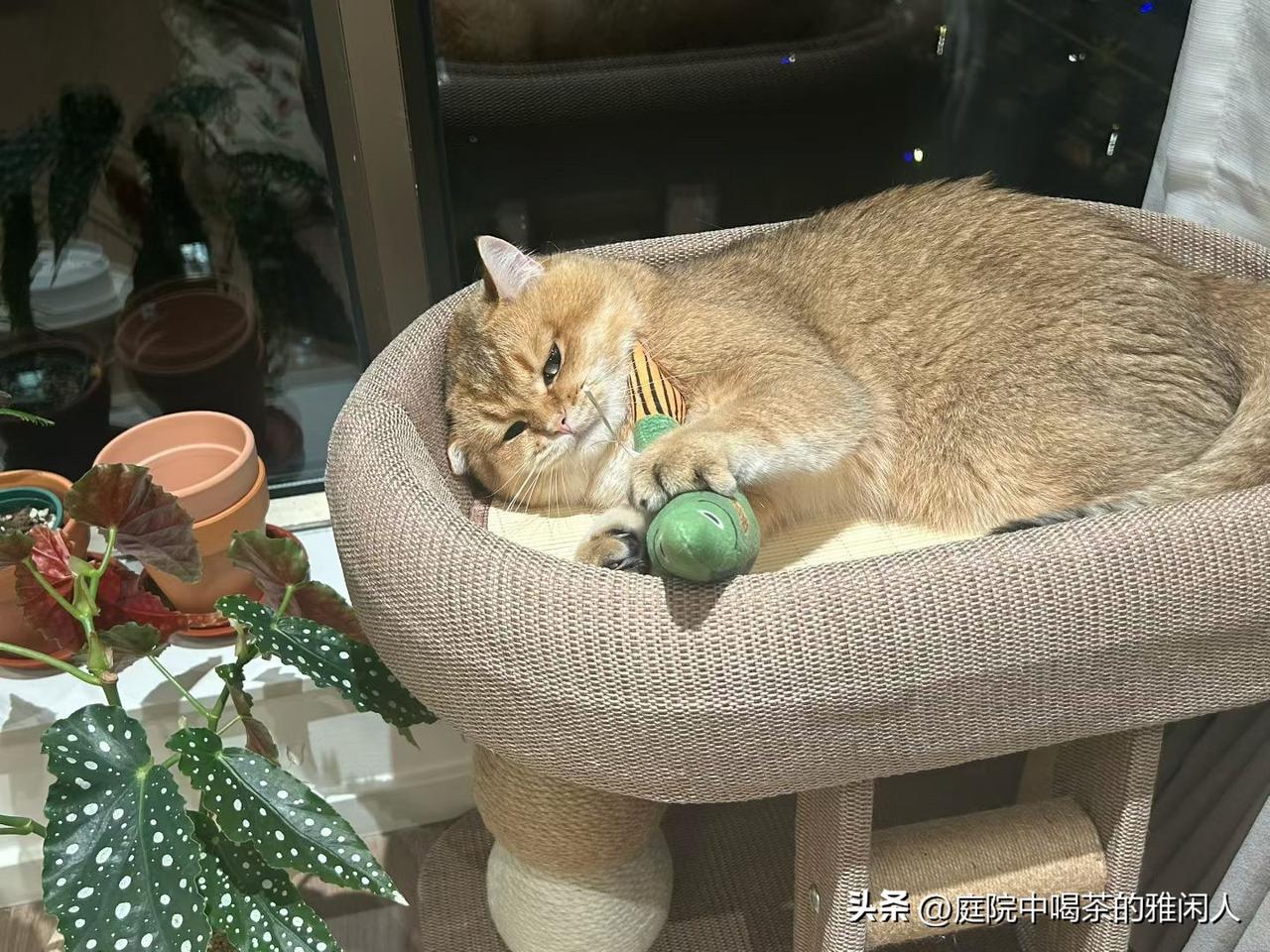 有时候真的不明白，有些人已经离职了，工作群也不主动退出。

你说担心老板扣工资吧