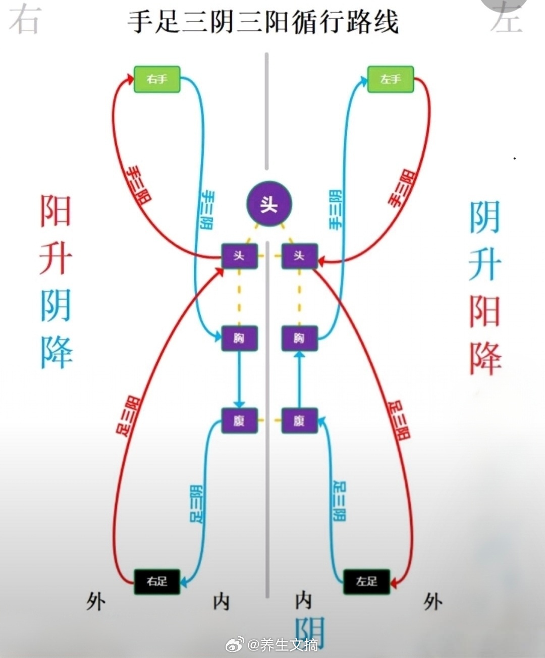 菟丝子的用法不传之秘，补肾不燥、祛湿不伤阴，关键在炮制配伍酒菟丝子：这才是补肾的