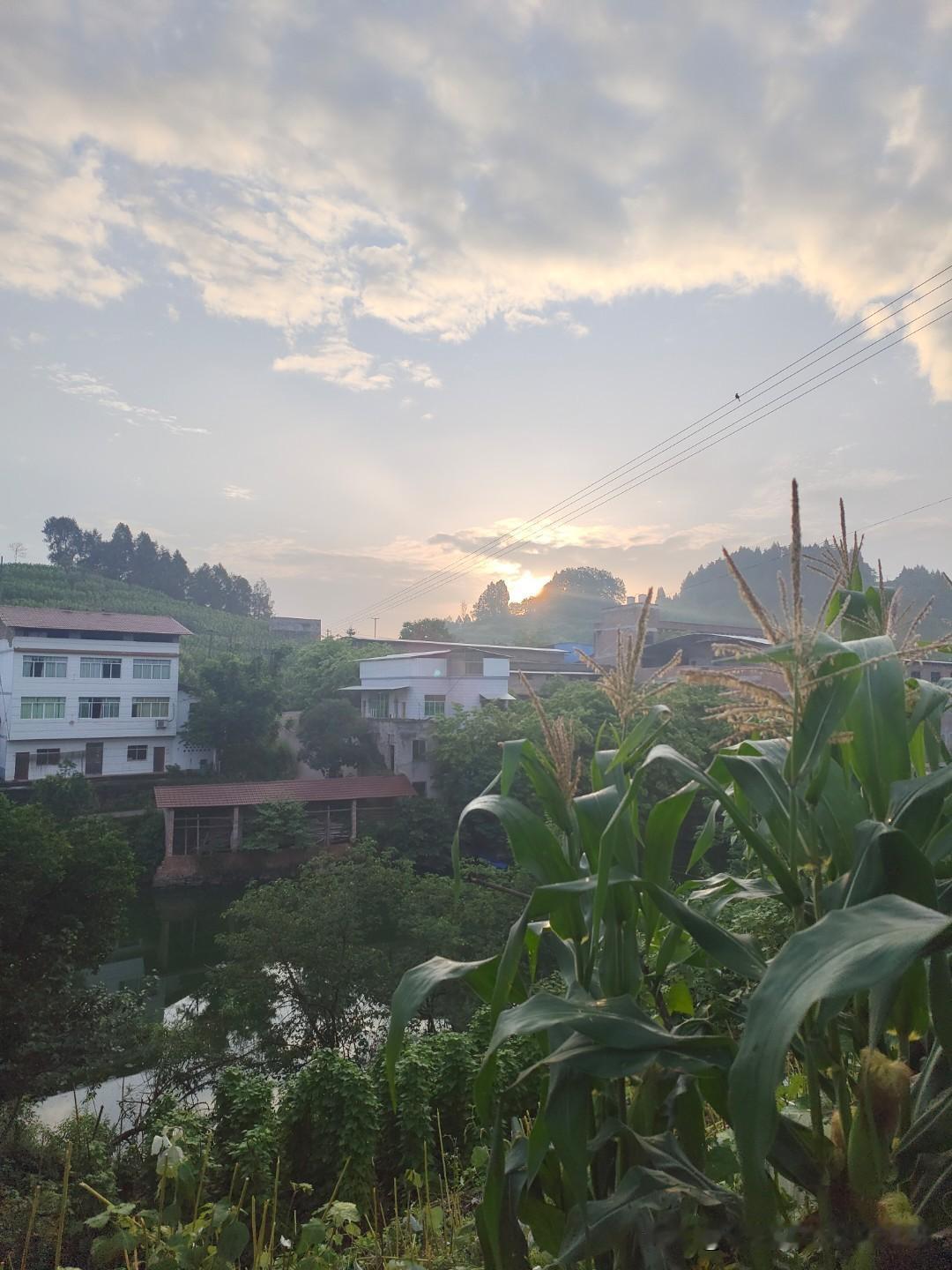 户口不在本村,如何申请宅基地? 户口不在本村，想申请宅基地可不容易。按照《土地管