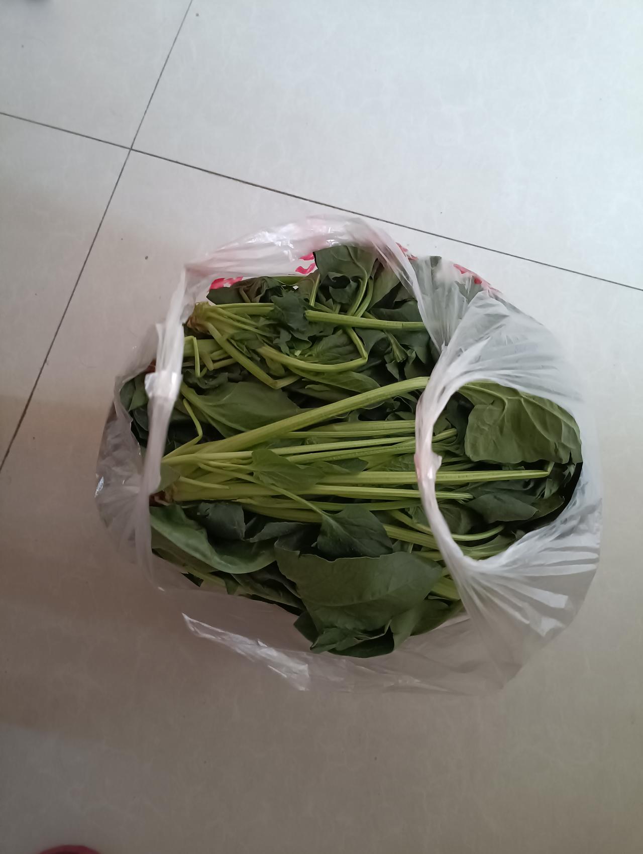 问问朋友，大家是不是希望菜越便宜越好？
今天去菜市场买菜，看到一老者卖的菠菜很嫩