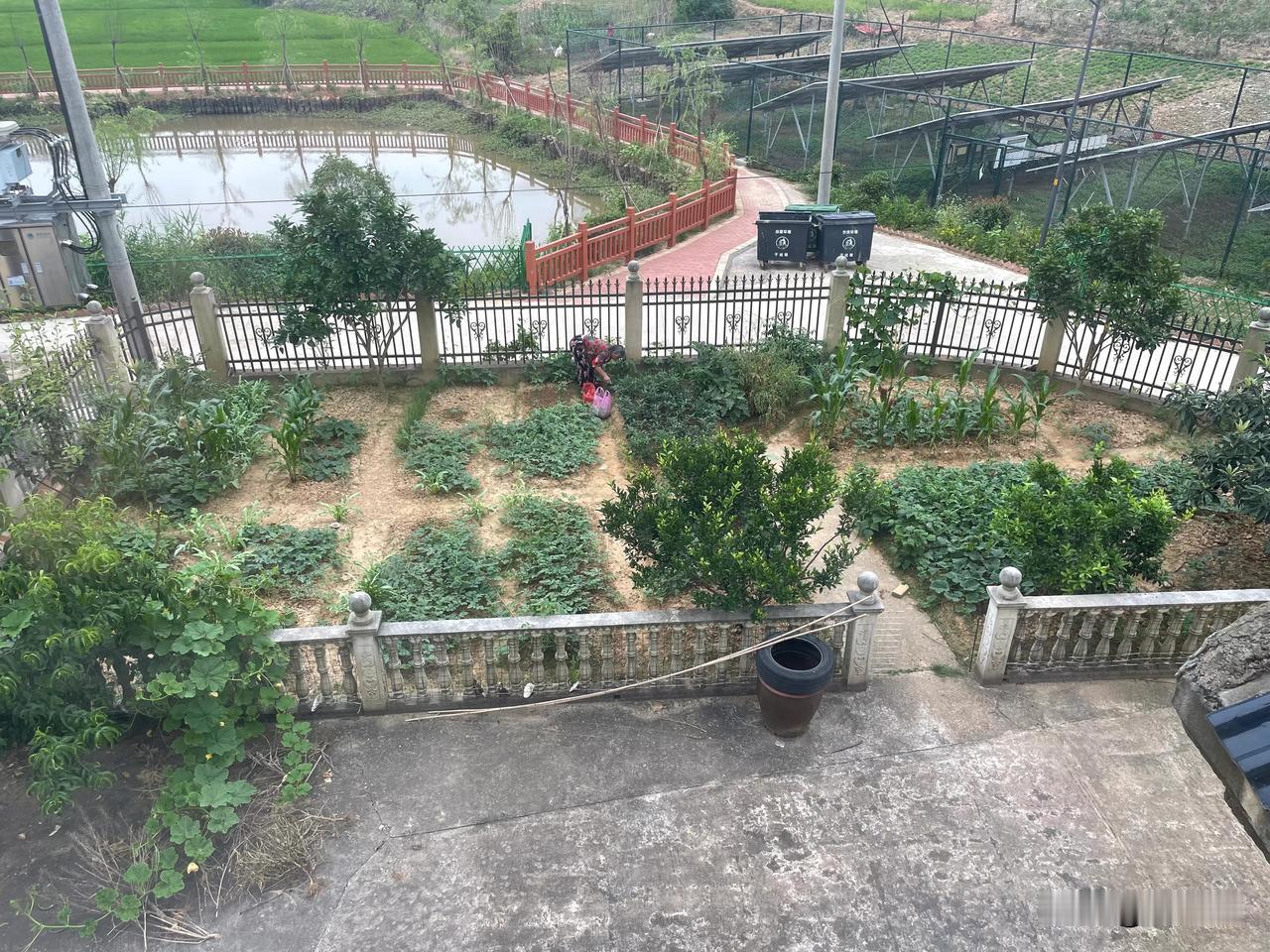 有没有跟我一样的，每个月开支如下：
1．每周一早上五块钱煎饼，周二至周日不吃。因