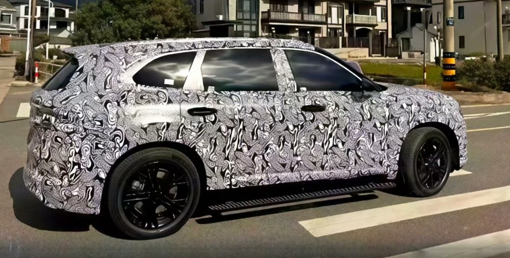 我觉得极氪8X将会是更具性价比的选择，参考一下极氪9X的成绩，我觉得这台车将会很