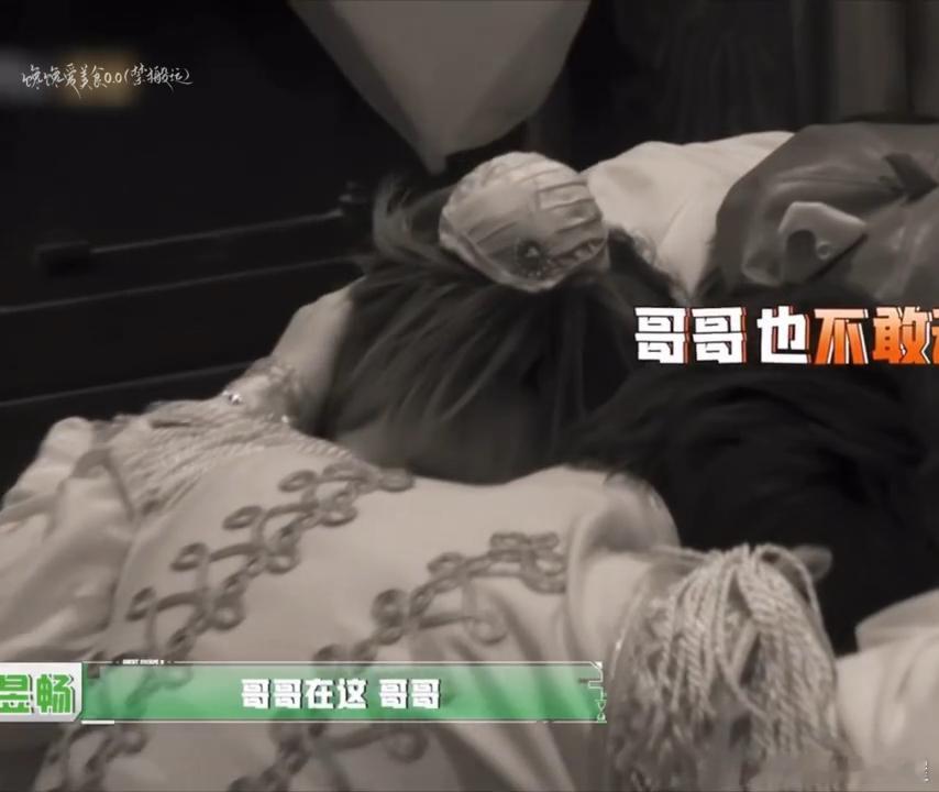 这段好有意思，大老师提问隐狼是什么，张真源试着用英语词汇去解释，中途卡壳，陈哲远