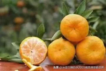 我新发布的内容被官方推荐啦！👍你也快来发布一条吧！带记录真实生活话题，更容易被