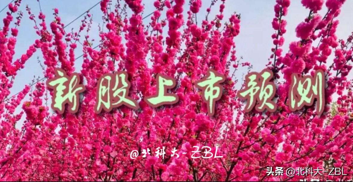 隆源股份上市首日涨幅预测

隆源股份（920055）将于2026年3月 31日（