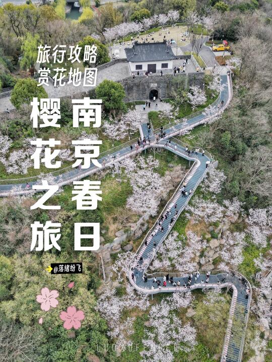 你还没去南京看樱花吗？赏樱一日游旅行攻略