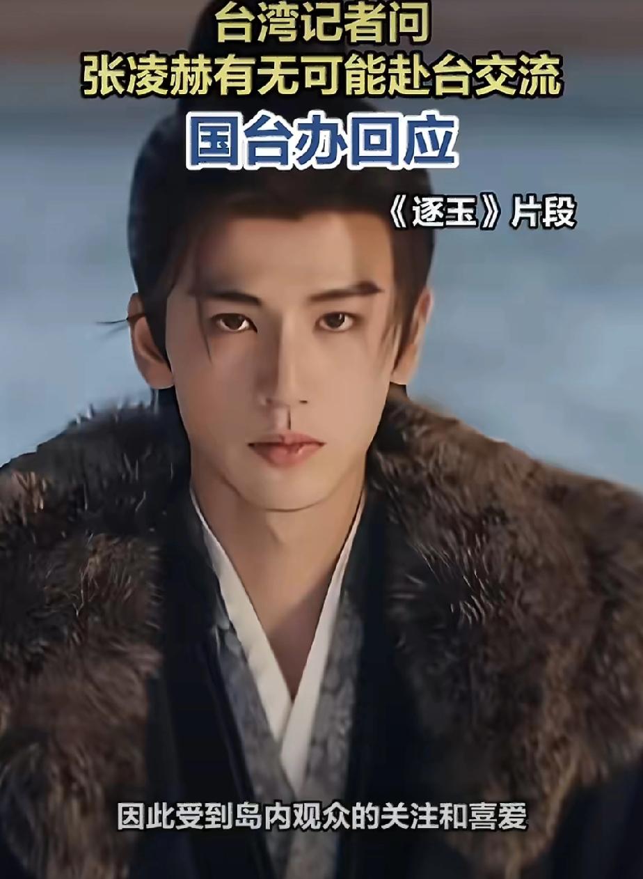 郑丽文来内地参加访谈的时候，被内地年轻人问“为什么要把两岸关系搞的这么复杂，只要