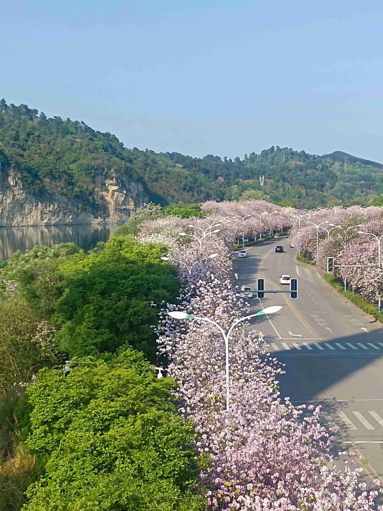 我的今日状态：😁轻松愉快
我这里的天气：☀️晴天
谁懂啊！在咱们柳州，4月的快