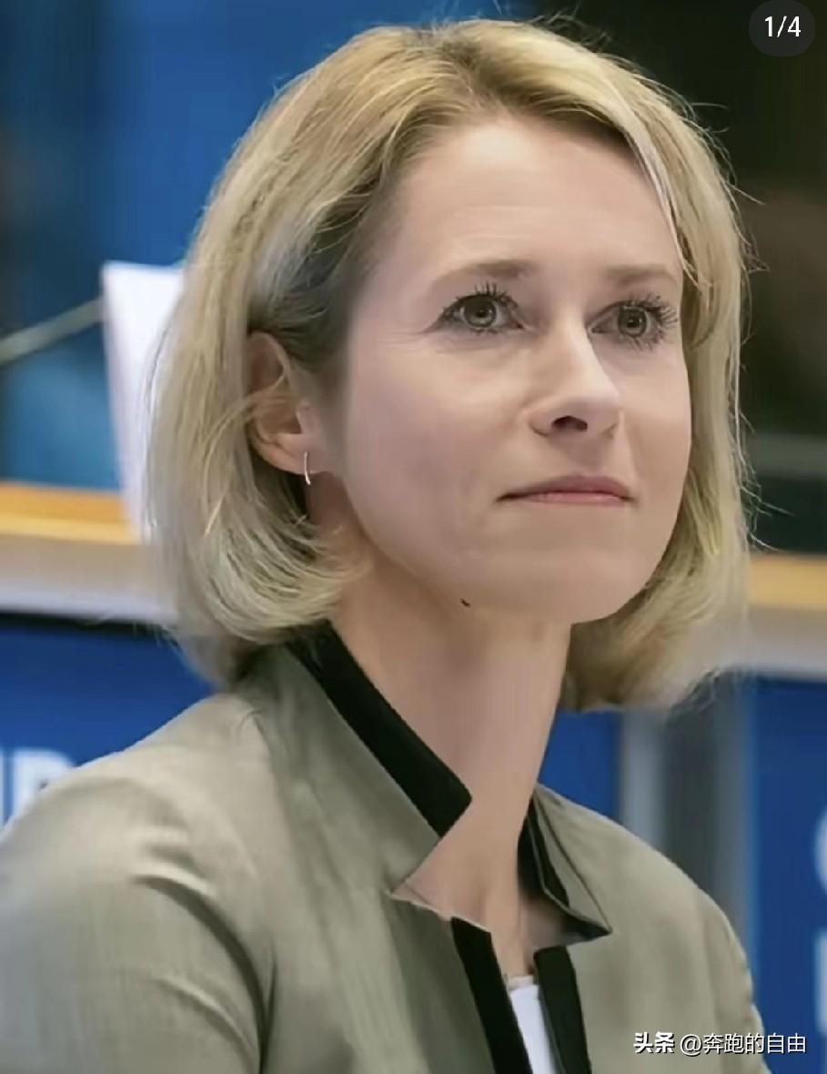 2026年3月11日，欧盟外交与安全政策高级代表卡拉斯宣布，欧盟成员国批准了针对