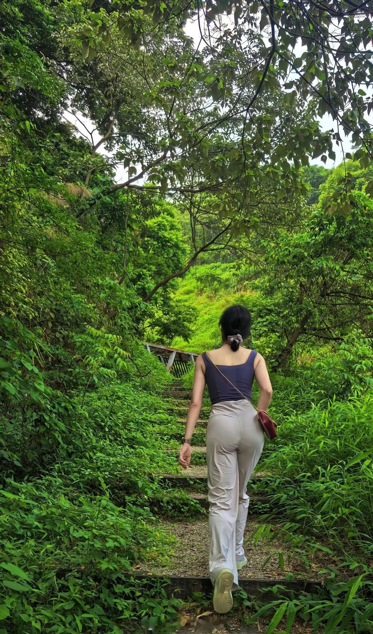 今天下午出来登高望远，换个角度更好看啦！ 