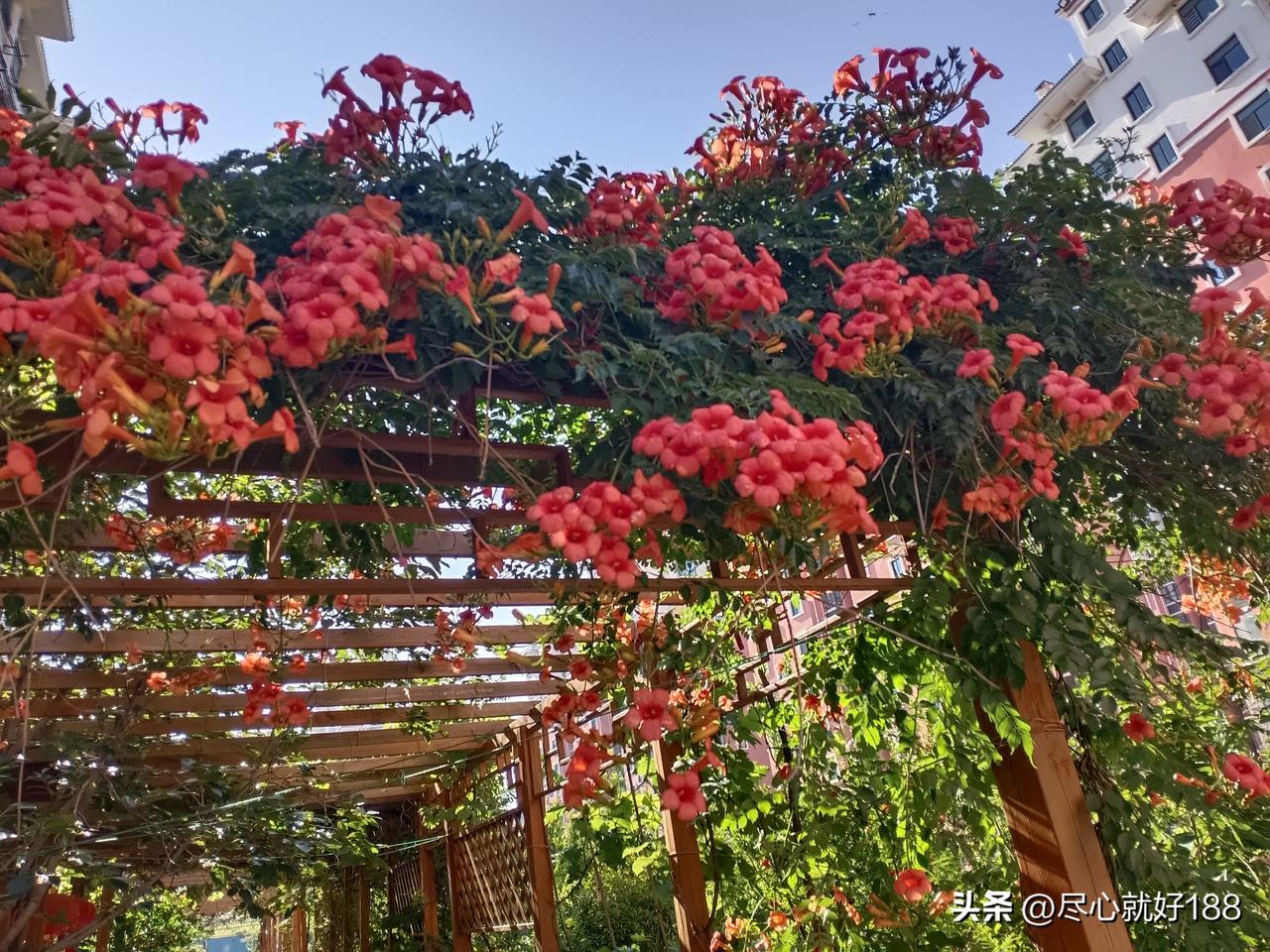 妈妈不理解，为什么医生不爱接受她，不打电话通知她去住院，妈妈这在家，天天着急去住