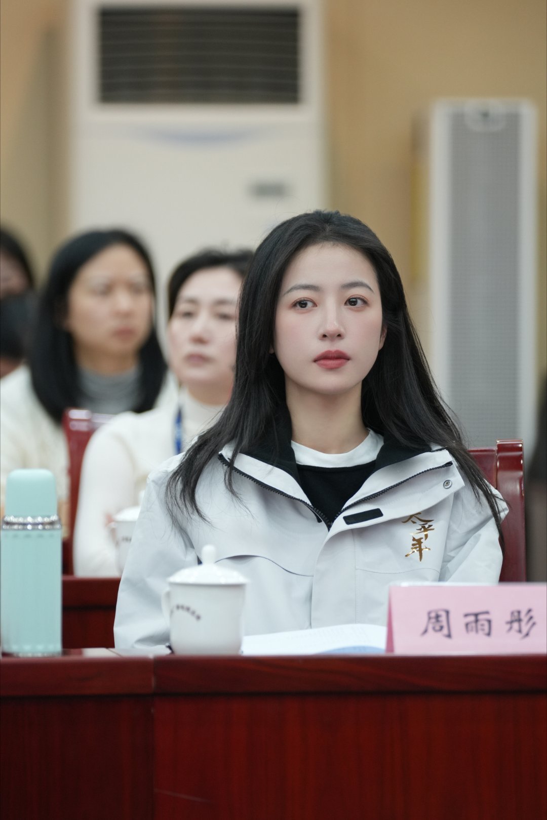 华策太平年进两会 万万没想到，两会现场也能听到一部电视剧的名字！浙江省省长刘捷亲