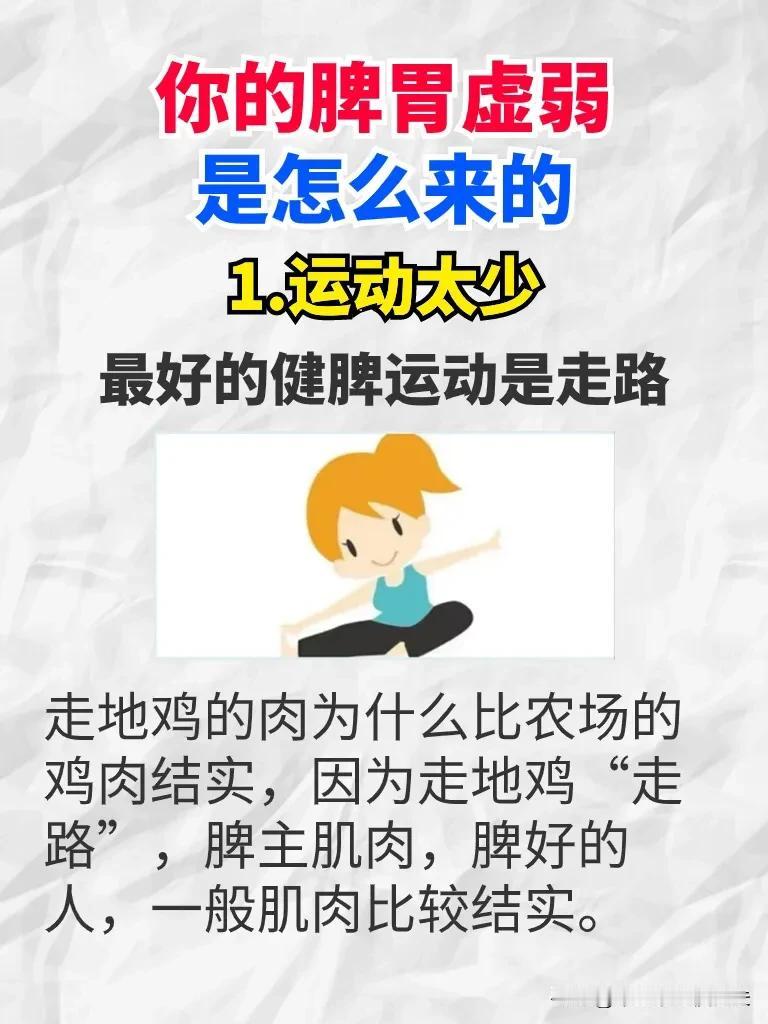你的脾胃虚弱是怎么来的
1.运动太少
最好的健脾运动是走路
走地鸡的肉为什么比农