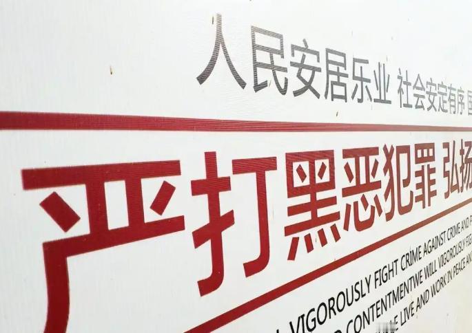 街上早没了明火执仗的混混，命案也跌到了本世纪的最谷底，为什么今年中央政法委依然开