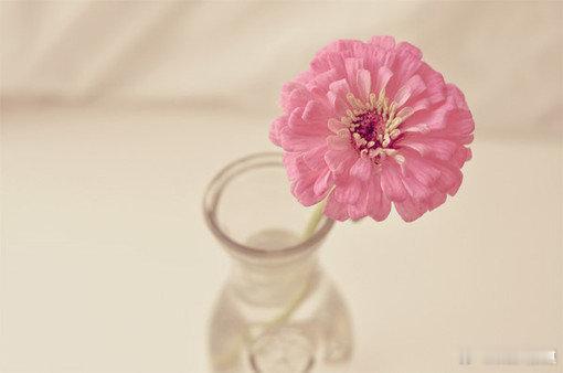 I miss you not because of my loneliness 