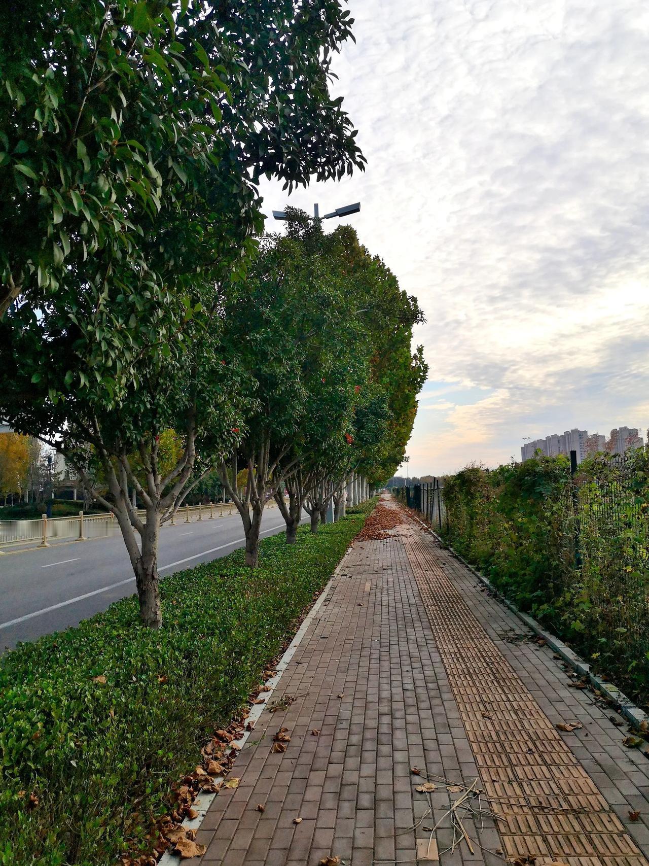 今天早上跑步打卡13.2公里，一路美景，心情如画～