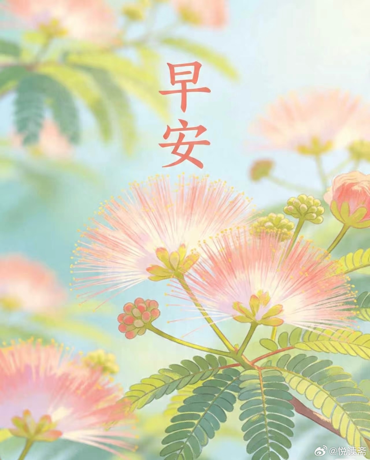 「🌸」🌊未来如星辰大海般璀璨，不必踟蹰于过去的半亩方塘。时光知味，岁月沉香；