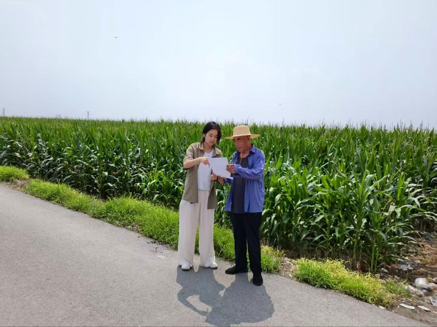 秦岭笑谈  踏烟台乡土之路，悟生态振兴之道青春三下乡曲阜师范大学大学生暑期社会实