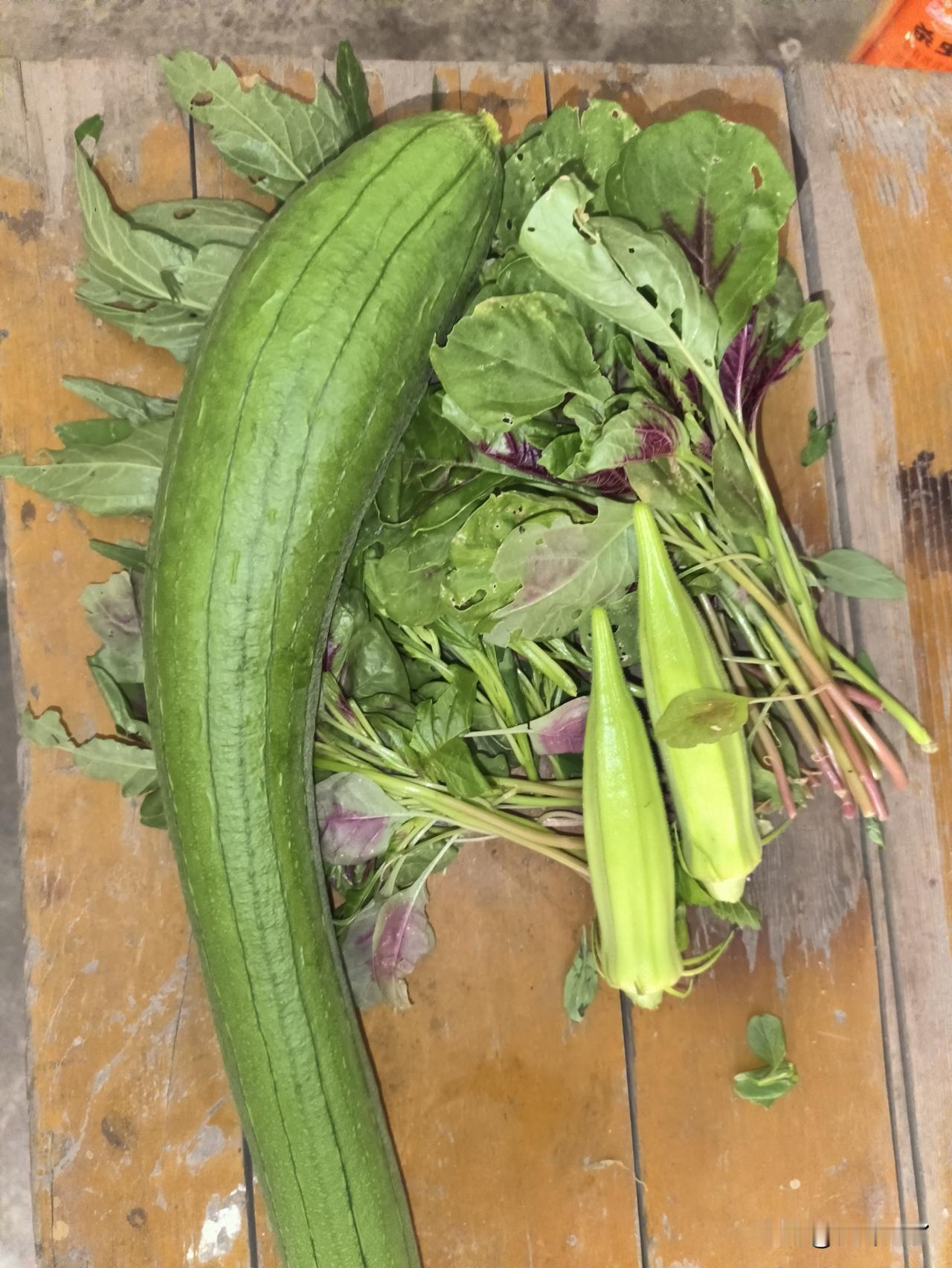 你平常会网购蔬菜吗我从来没有网购买过蔬菜，因为没有那个必要，我自己有个小菜园，平