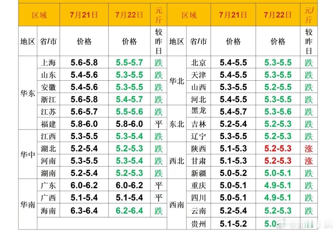 每日猪价 