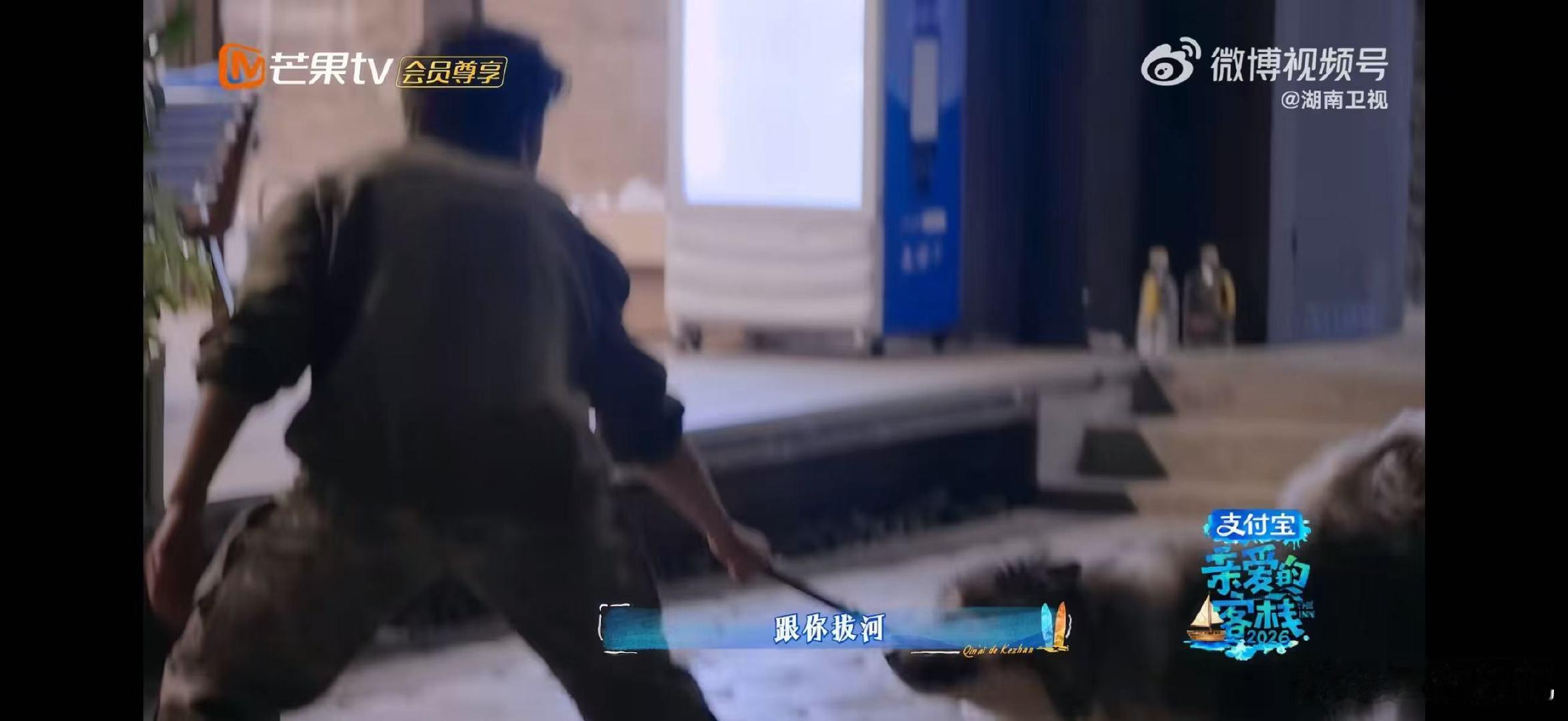 王鹤棣半夜跟二哈拔河 王鹤棣遛狗差点被狗遛亲爱的客栈《亲爱的客栈》的深夜，狗狗雪