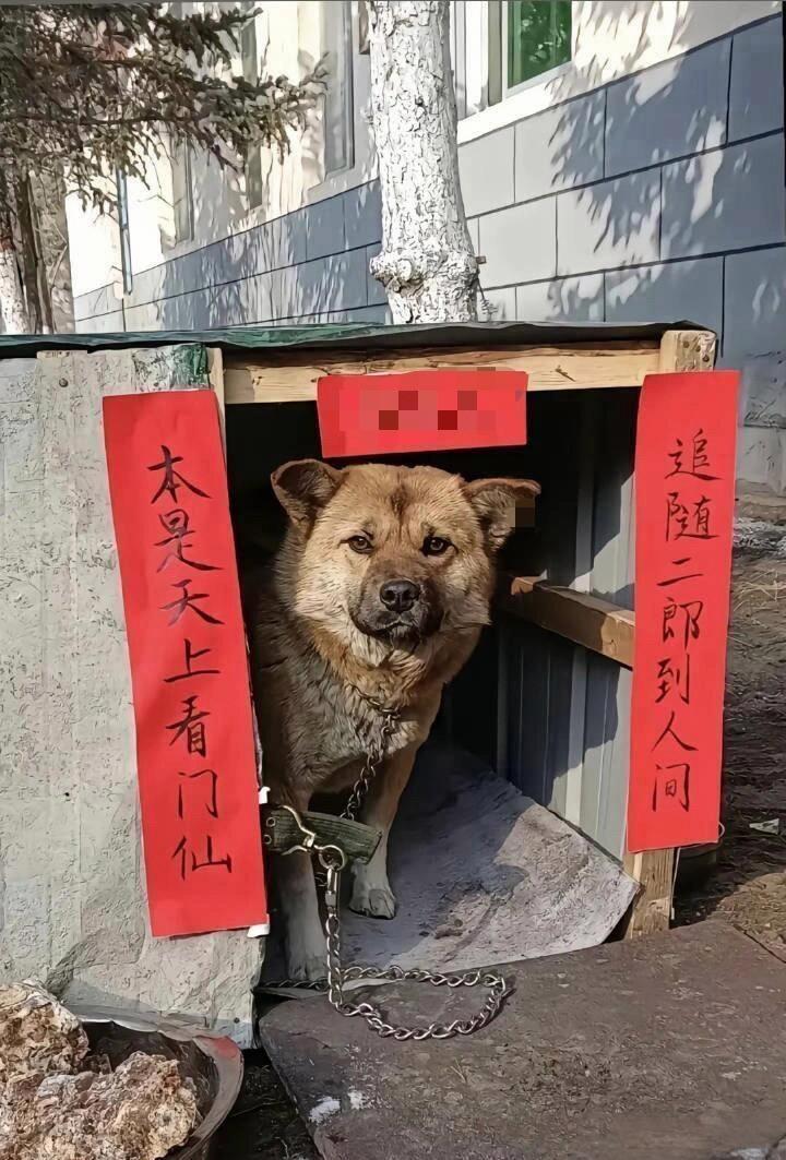 哈哈有才人