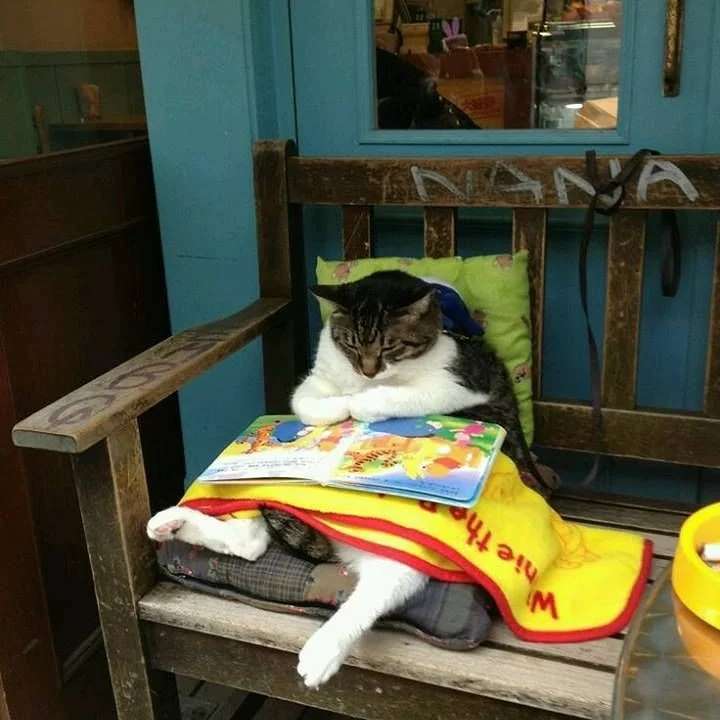 活到老学到老 ​​​