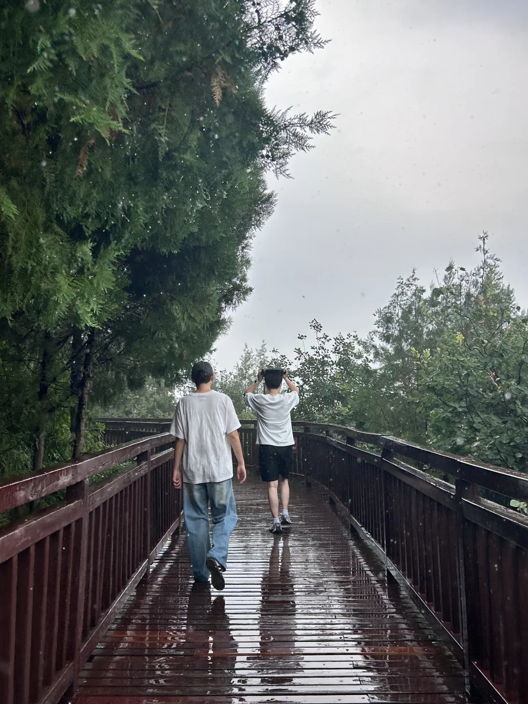怀柔西山步道 好像白敬亭！