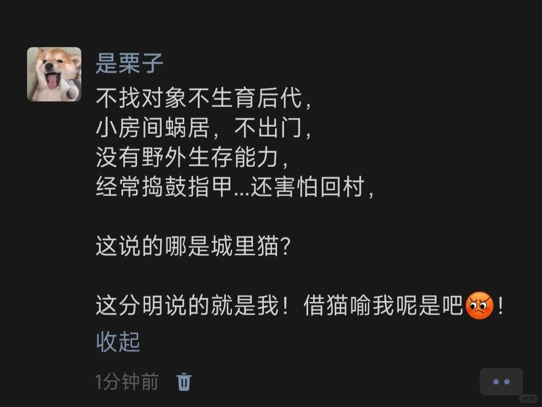 不找对象不生育后代