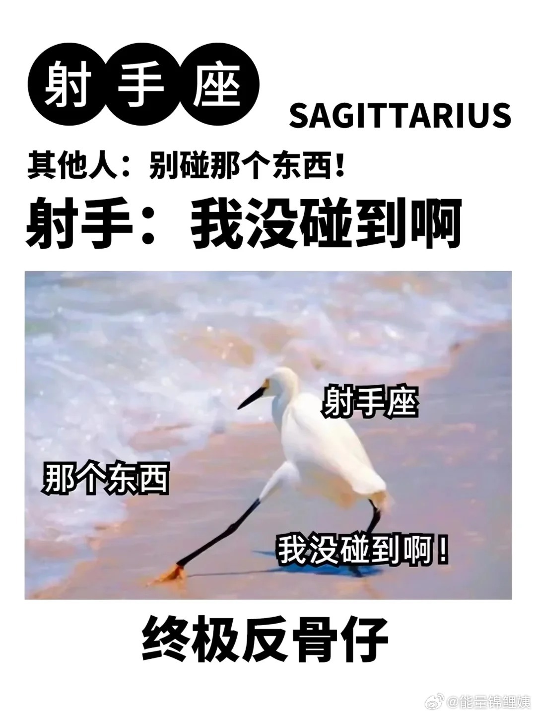 普通人的反骨，对不想做的事情保持独立的态度。射手座的反骨：我的美力由我定义 ​​
