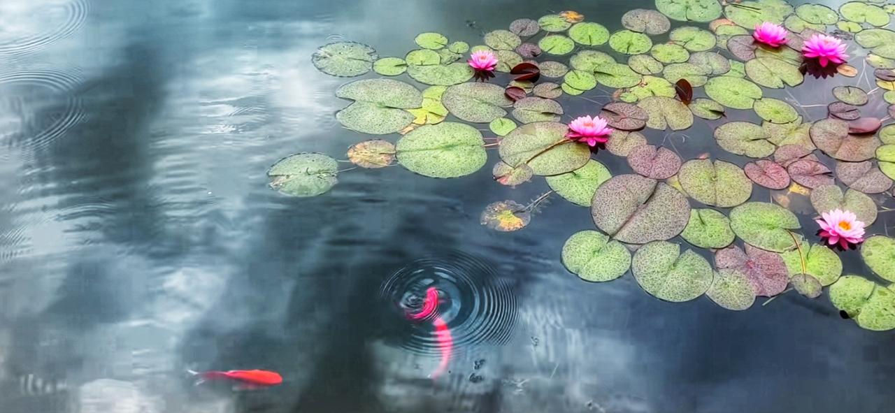 纳税人的4700万就这么花出去啦[抠鼻]