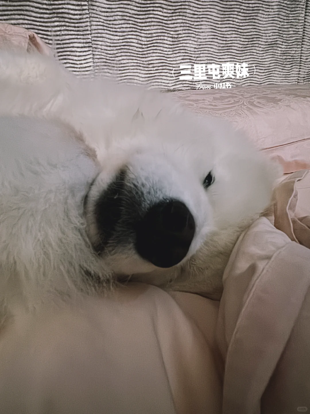 让我看看是谁在上班路上
