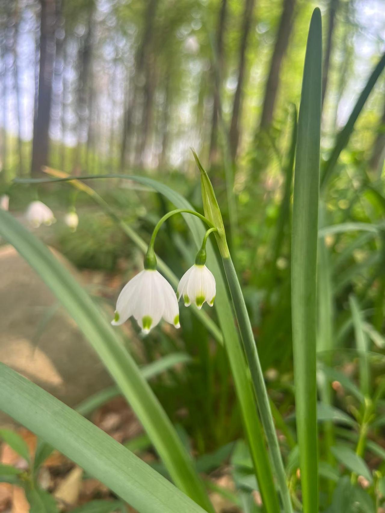 ☀️
美好的一天开始啦！

山有顶峰，湖有彼岸，在人生漫漫长途中，万物皆有回转~
