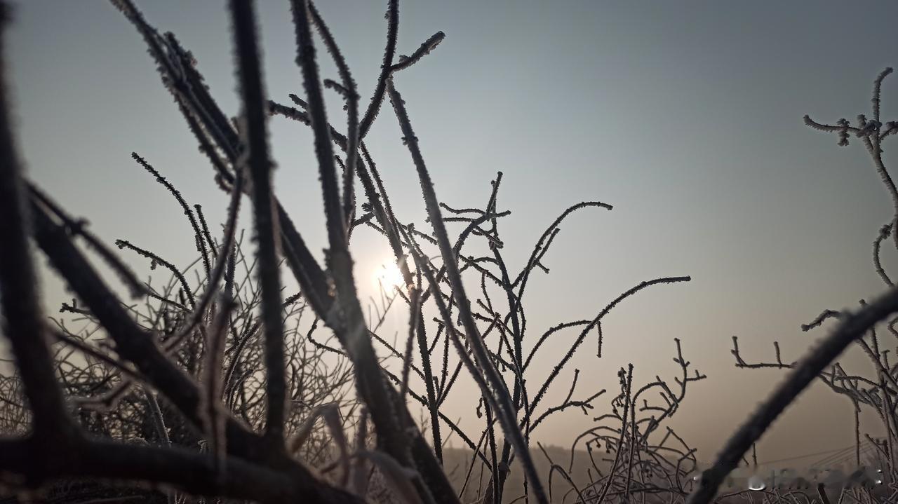 “千里马常有，伯乐不常有”也不准确，应该是“千里马不常有，伯乐更不常有”。