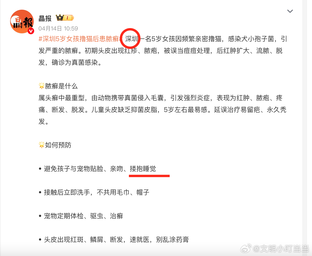 专家说小猫上床是不脏的 很好，多抱多睡，最好是一捡回流浪猫就塞被窝里。能美容脱毛