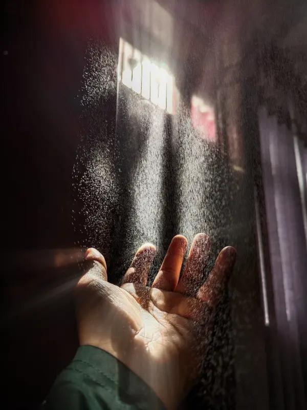 “我们终将会上岸，无论去到哪里，都是阳光万里，鲜花绽放。”生活里难免会遇到风浪，