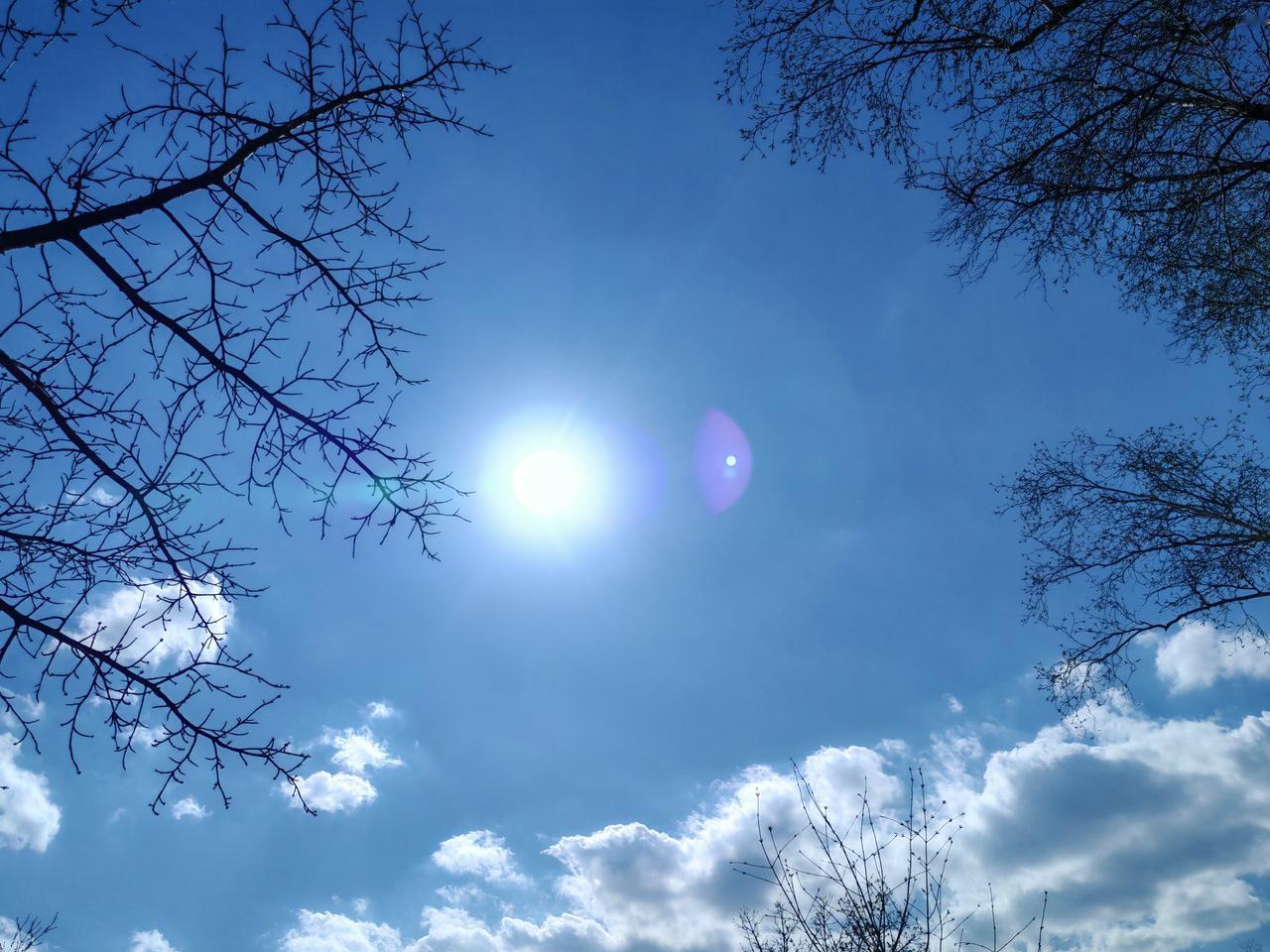 看看我和老伴儿，今天的收获不少吧！

今天白天，阳光特别充足！在家真的呆不住了，