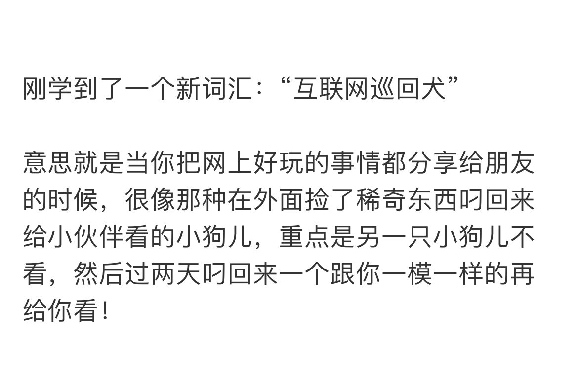 刚学到了一个新词汇：“互联网巡回犬” ​​​