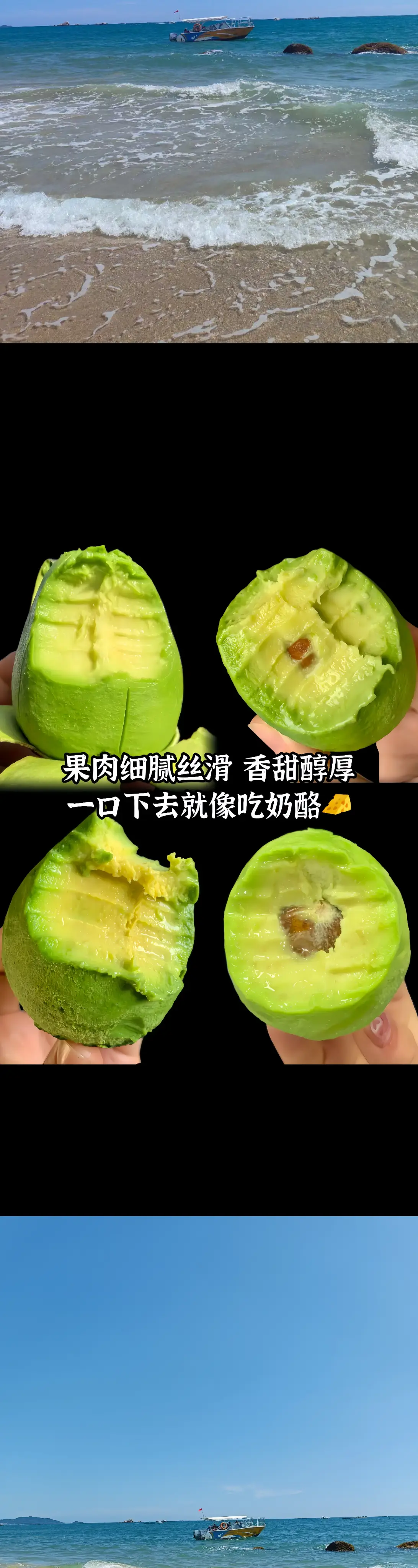 随手买的巨好吃，我又回购了两箱！6个大果才19.9🤩🤩🤩不仅划算...