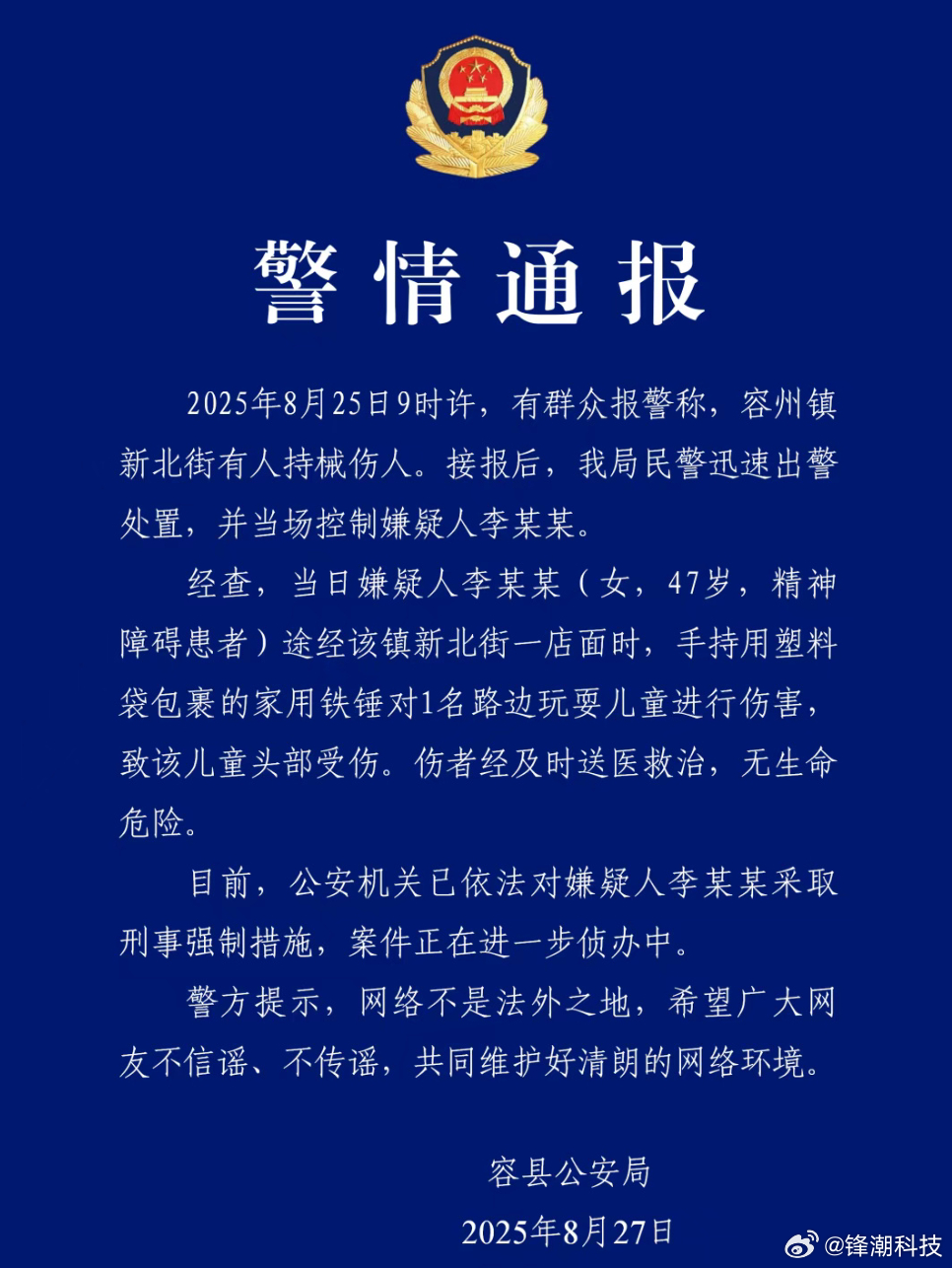 女子用铁锤砸伤路边男孩头部，精神障碍患者。 ​​​