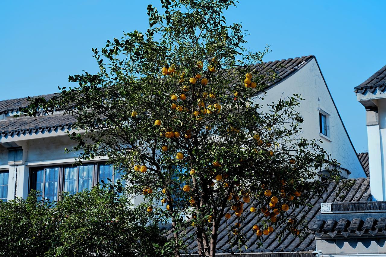 晒出你的本地生活