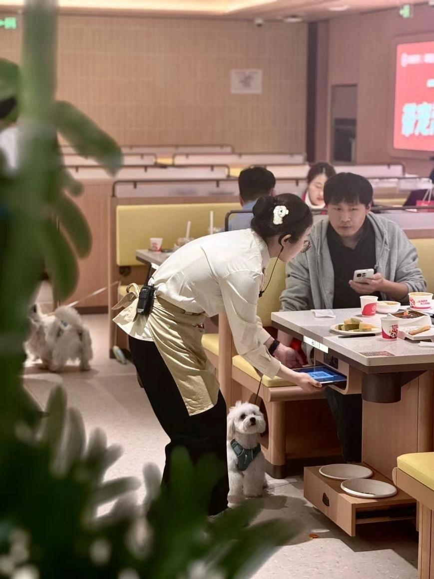 海底捞宣布结束部分门店的“携宠就餐”试点项目，原因是实际运营中遇到卫生管理、顾客