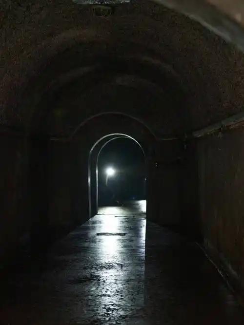 你以为躲进坚固的地下防空洞就万事大吉？错了。
 
一道低于20Hz的次声波无声穿