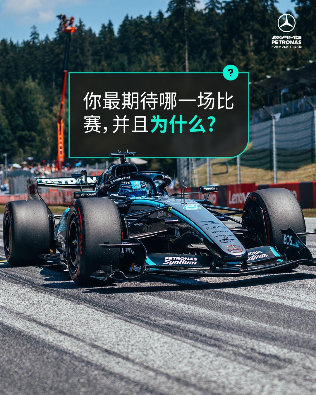这么多场，宝子们怎么选呢？👀 