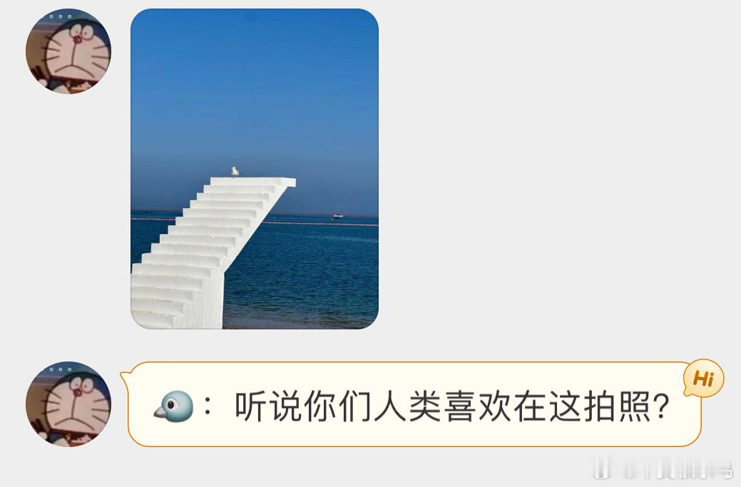 #鸟粉投稿# 鸥鸥：站上来了你们拍吧！ ​​​