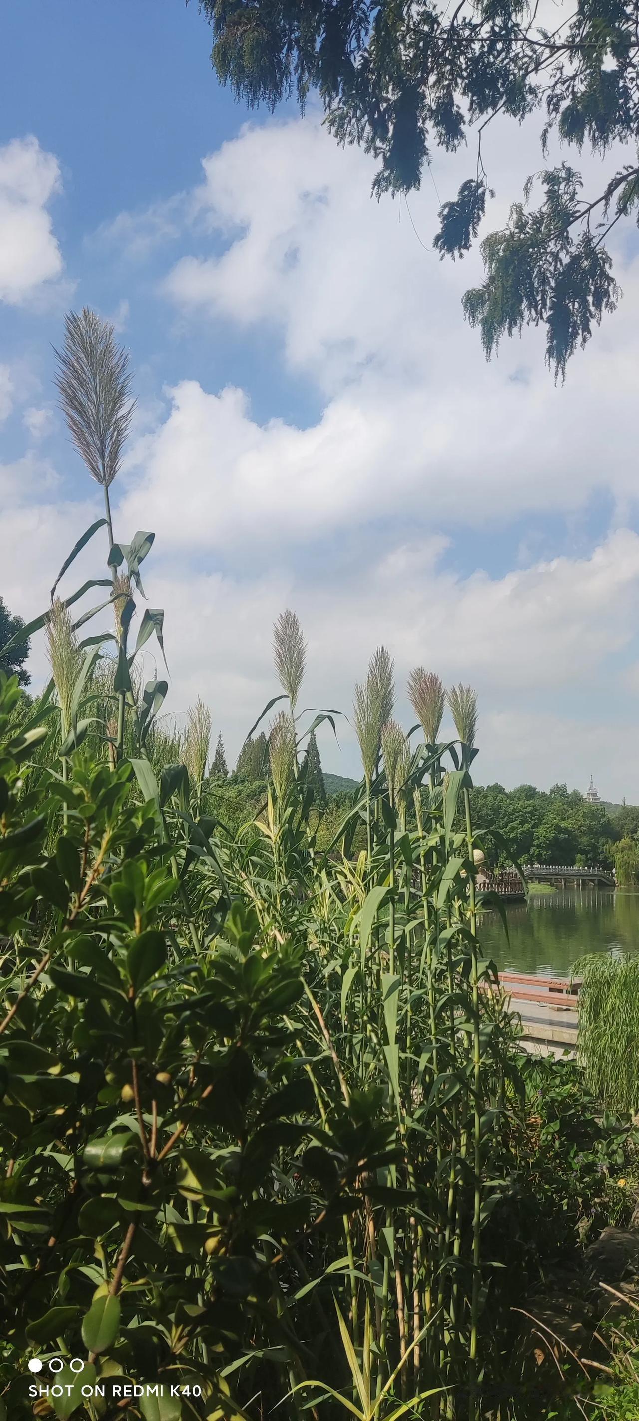 你有的最早的网上情字吗。。。
我找回了我的QQ年代，虽然故友所剩无几。。。
但我