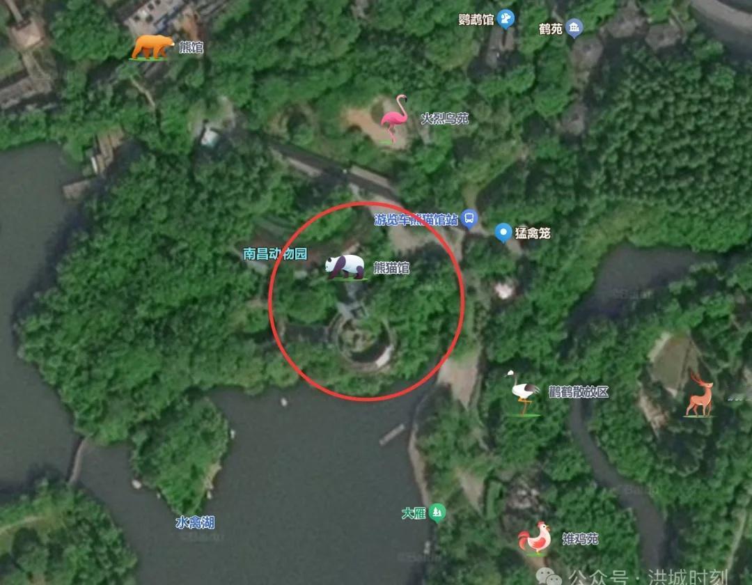 南昌动物园大熊猫馆要改造❗️🐼要来咯✅
⬇️
👉 南昌动物园大熊猫馆要改造了