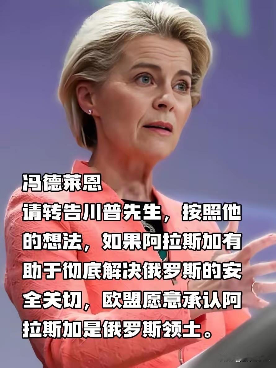 国内的自媒体和乌粉为了舔乌能编出这样的故事，也是没谁了，不过你们敢编冯德莱恩敢说