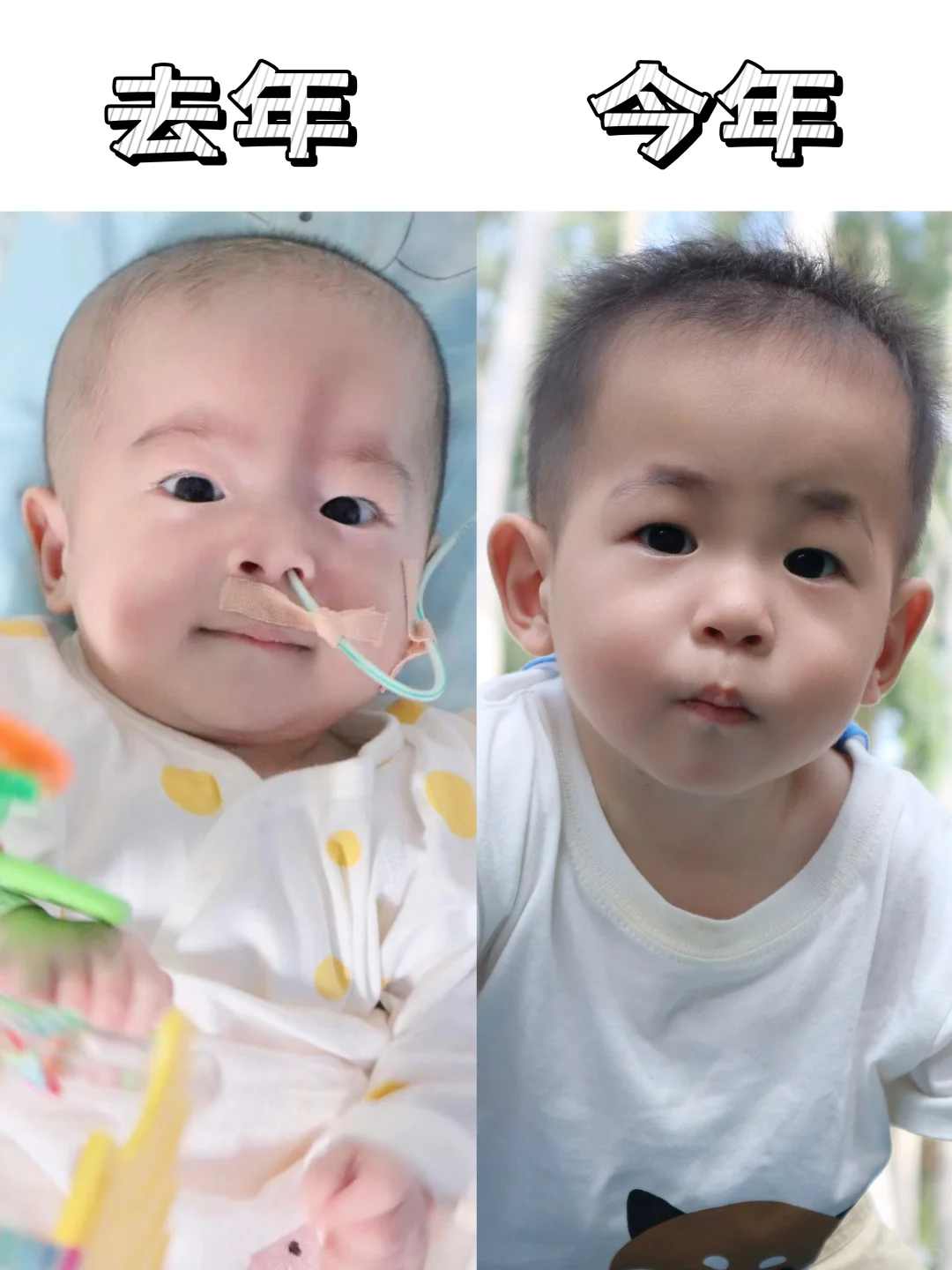 我的哈基米终于打败小怪兽啦！🥳