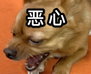 举报玫瑰音乐节的我zz你们永远见不到蒸煮